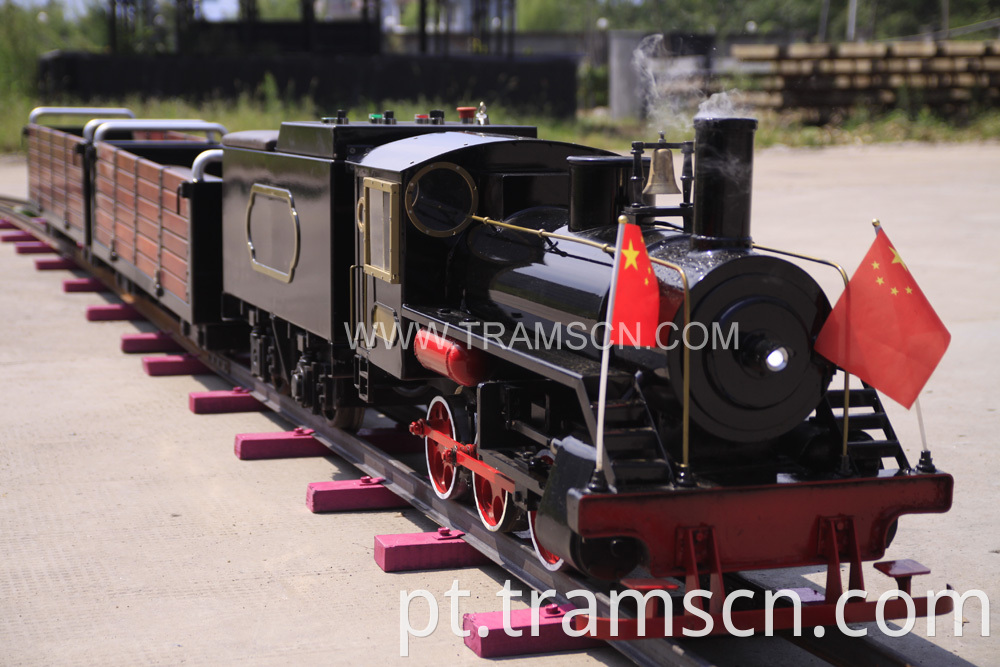 Mini Steam Locomotive 03 Jpg